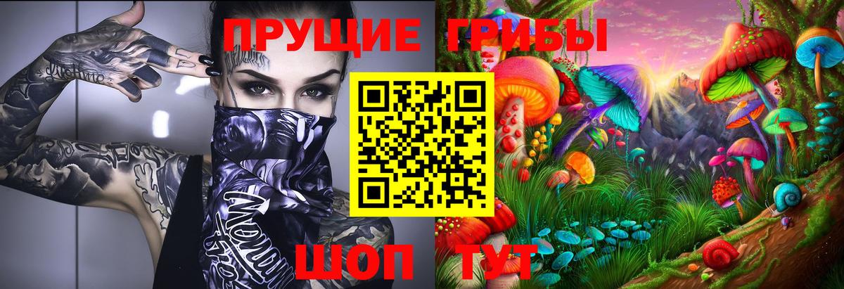 Галлюциногенные грибы Magic Shrooms  Вход с VPN  Черняховск  Галлюциногенные грибы MAGIC MUSHROOMS 