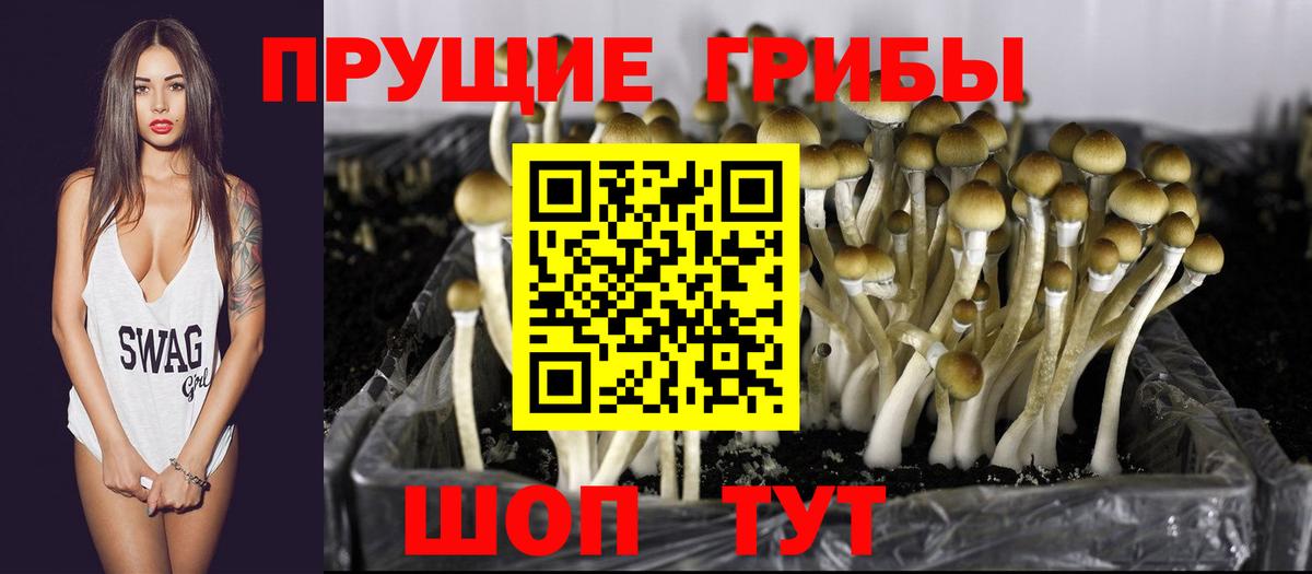 Меф МЯУ МЯУ   ГАШ  Черняховск  Вход с VPN 